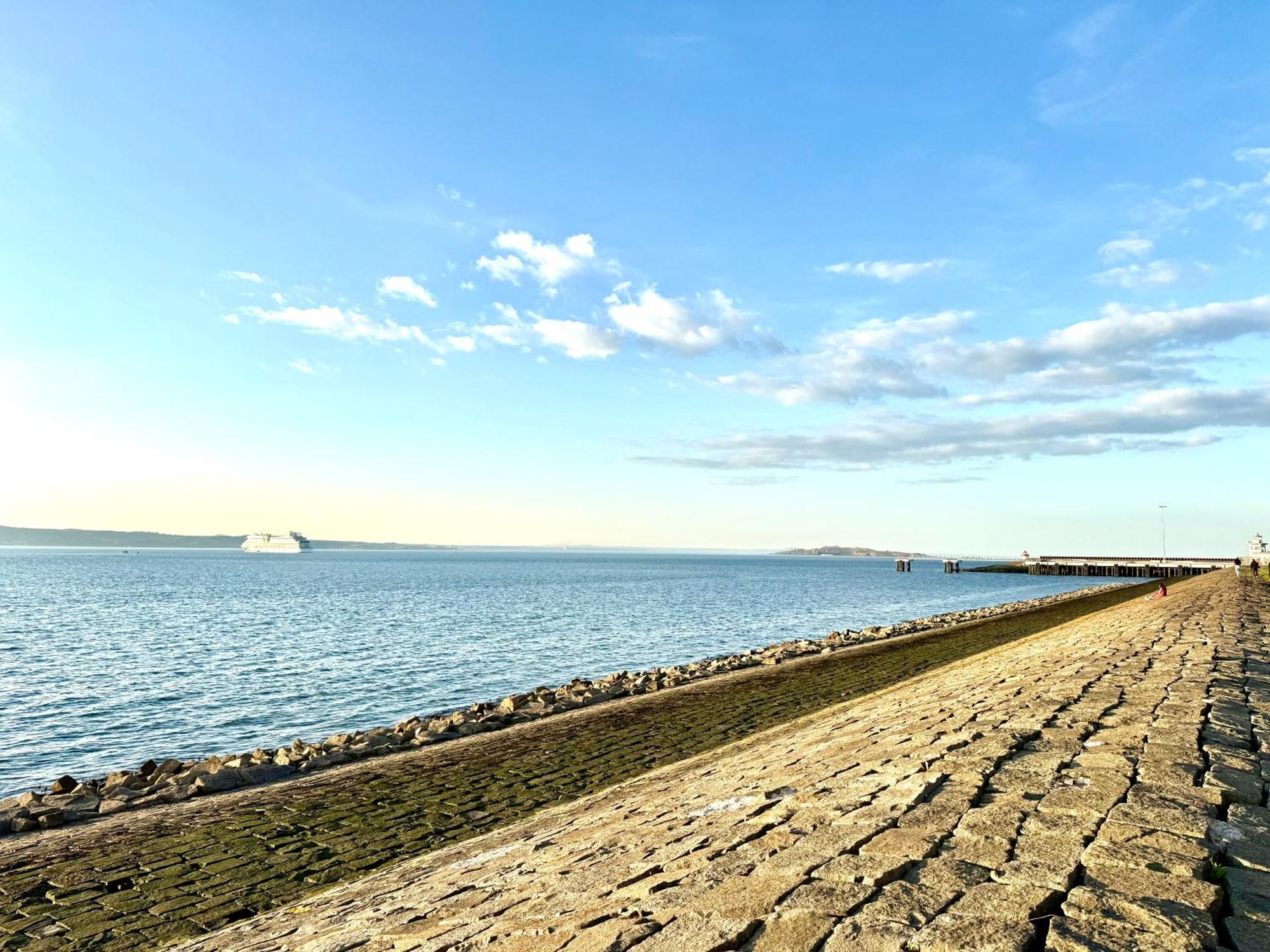 Ocean Park Apartments - Oceanfront - Free Parking And Fast Wifi EDI Buitenkant foto